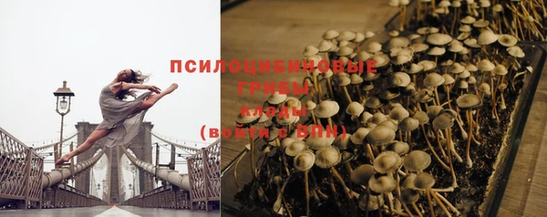 гашик Армянск